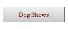 Dog Shows